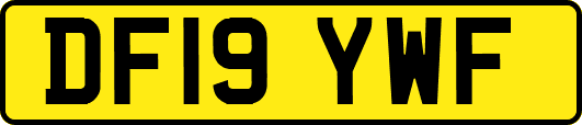 DF19YWF