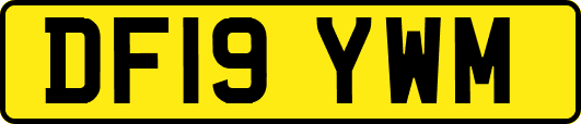 DF19YWM