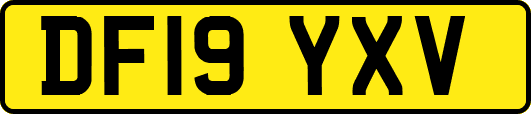 DF19YXV