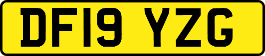 DF19YZG