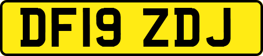 DF19ZDJ