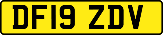 DF19ZDV