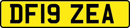 DF19ZEA