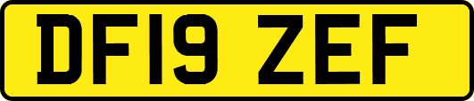 DF19ZEF