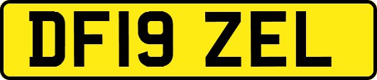 DF19ZEL