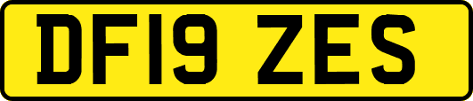 DF19ZES