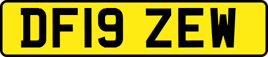 DF19ZEW