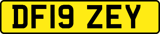 DF19ZEY