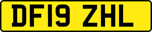 DF19ZHL
