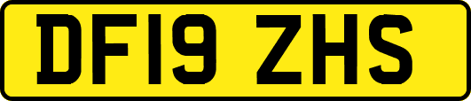 DF19ZHS