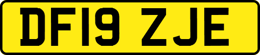 DF19ZJE