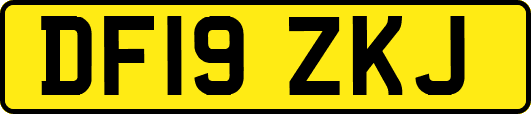 DF19ZKJ