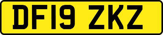DF19ZKZ