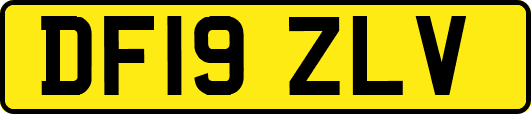 DF19ZLV
