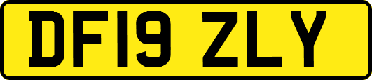 DF19ZLY