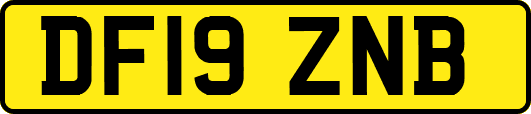 DF19ZNB