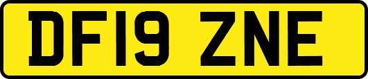 DF19ZNE