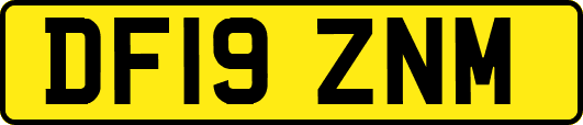 DF19ZNM