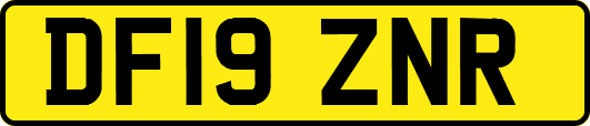 DF19ZNR