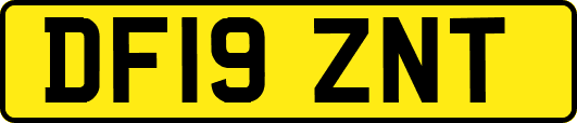 DF19ZNT