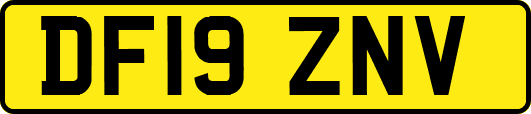 DF19ZNV