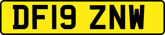 DF19ZNW