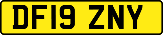 DF19ZNY
