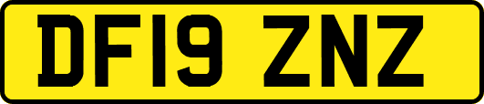 DF19ZNZ