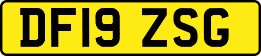 DF19ZSG