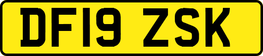 DF19ZSK