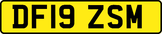 DF19ZSM
