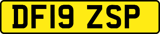 DF19ZSP