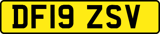 DF19ZSV