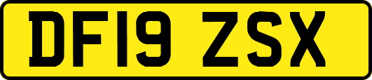 DF19ZSX