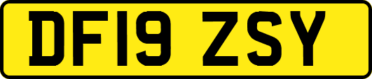 DF19ZSY