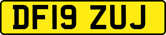 DF19ZUJ