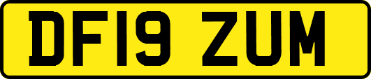 DF19ZUM
