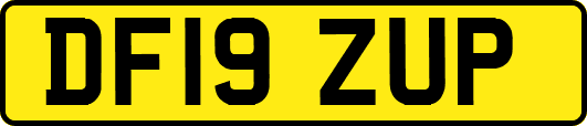 DF19ZUP