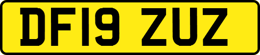 DF19ZUZ