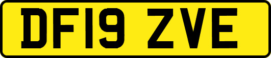 DF19ZVE