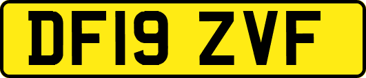 DF19ZVF