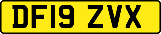 DF19ZVX
