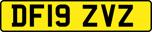 DF19ZVZ