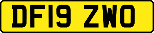 DF19ZWO
