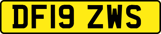 DF19ZWS