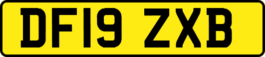 DF19ZXB