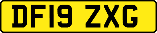 DF19ZXG