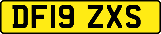 DF19ZXS