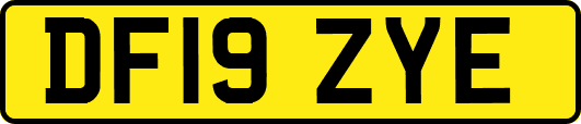 DF19ZYE