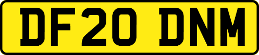 DF20DNM